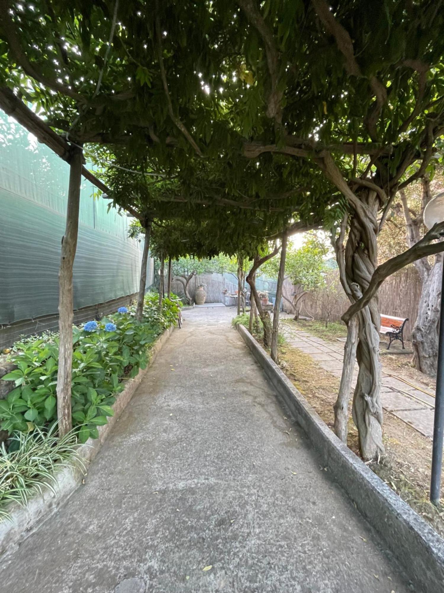 Villa Rosmary 마사루브렌세 외부 사진