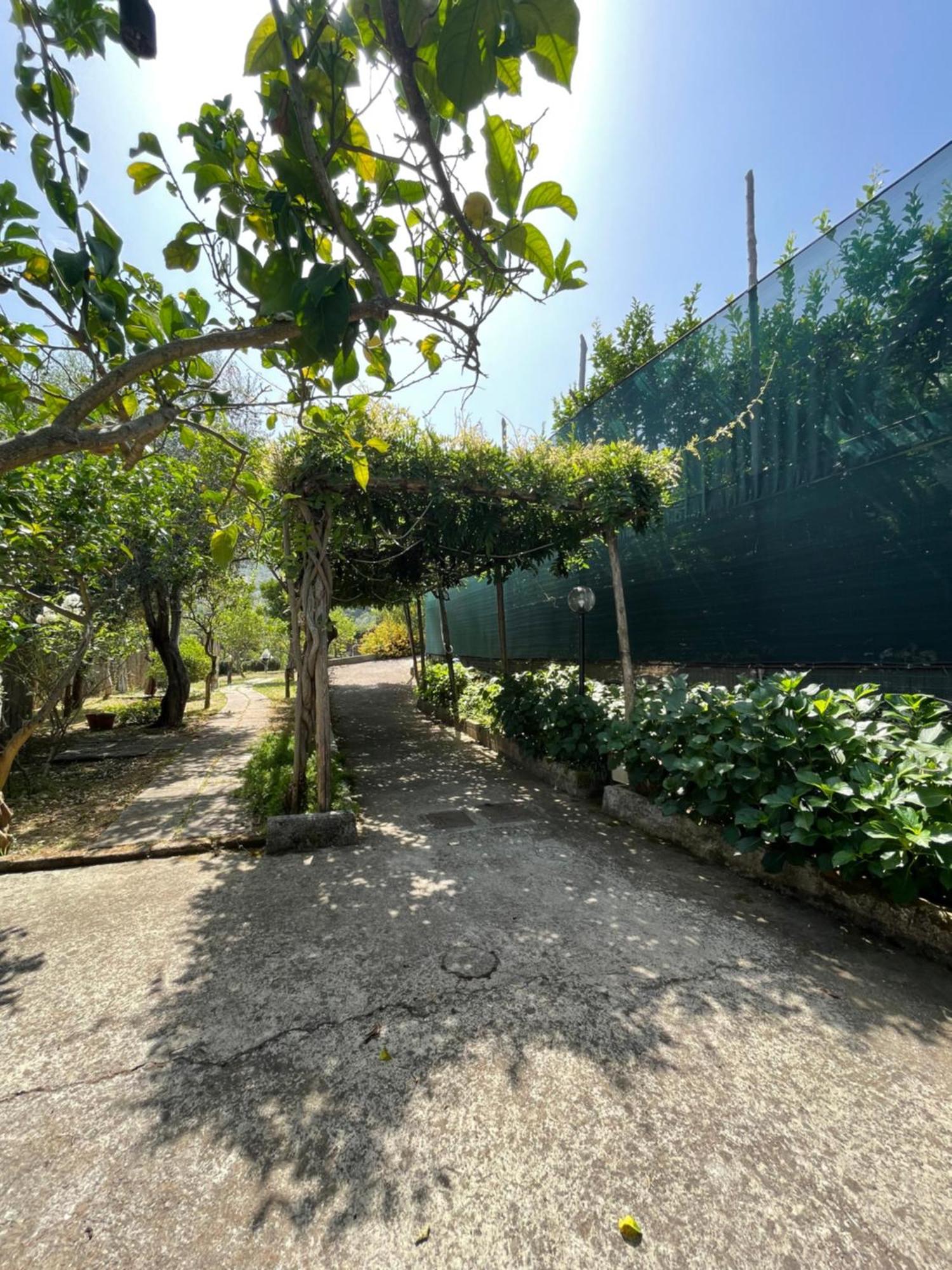 Villa Rosmary 마사루브렌세 외부 사진