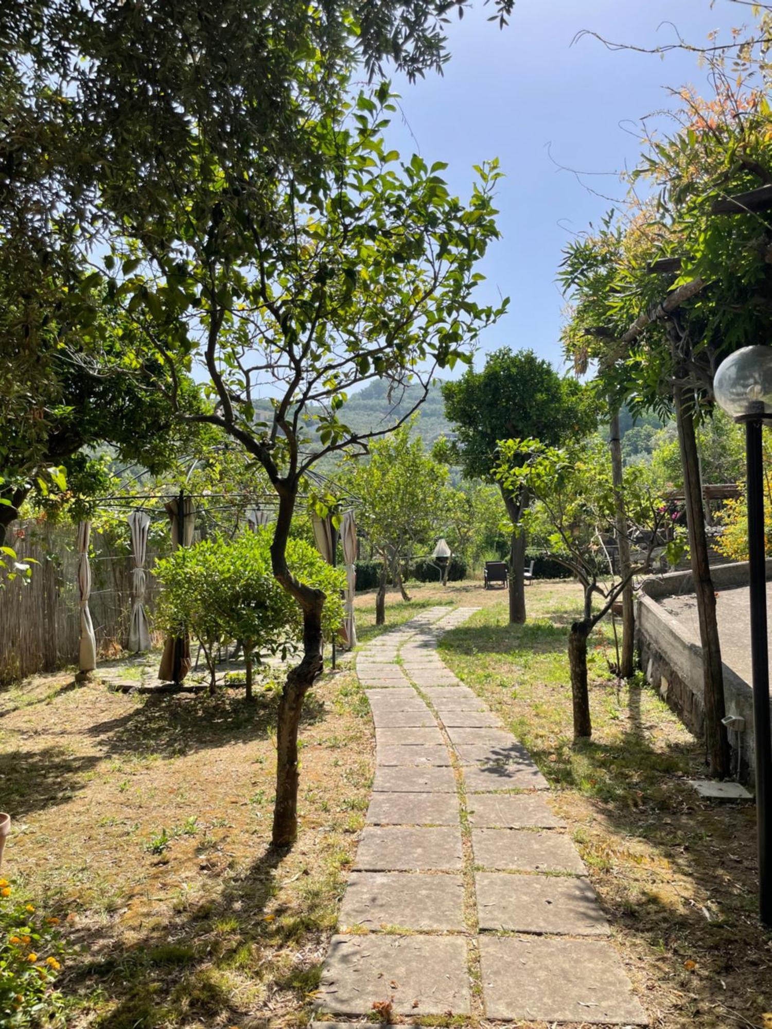 Villa Rosmary 마사루브렌세 외부 사진