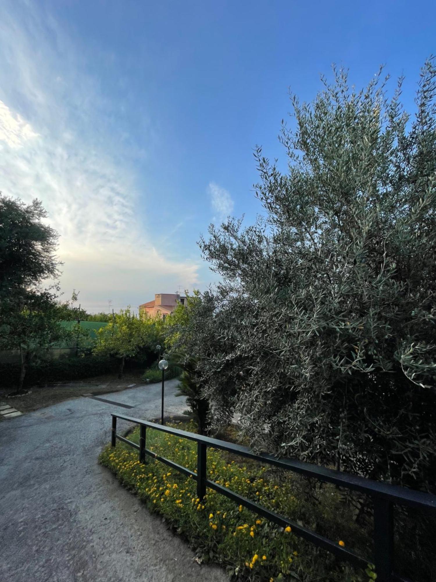 Villa Rosmary 마사루브렌세 외부 사진